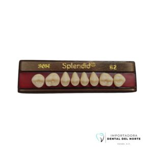 MOLAR SPLENDID 30M UP 62NS