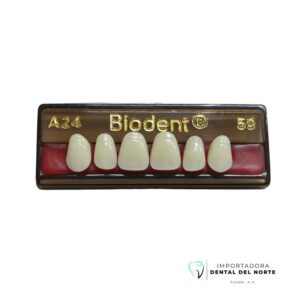 Diente Biodent A24 UP 59