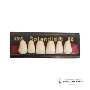 DIENTE SPLENDID 224 UP 62NS