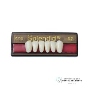 DIENTE SPLENDID 224 LO 62NS