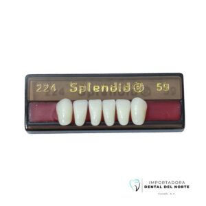 DIENTE SPLENDID 224 LO 59