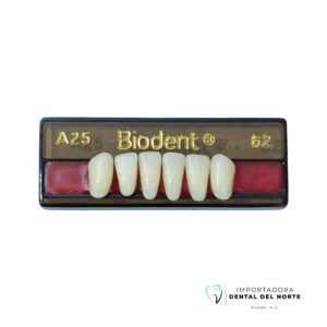 Diente Biodent A25 LO 62