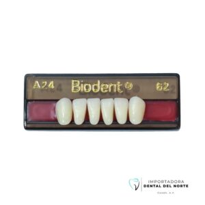 Diente Biodent A24 LO 62NS
