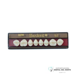 Molar Biodent 32M UP 62
