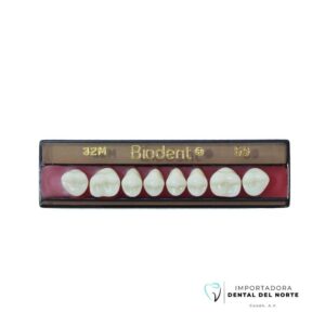 Molar BIODENT 32M UP 59