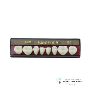 Molar BIODENT 32M LO 62