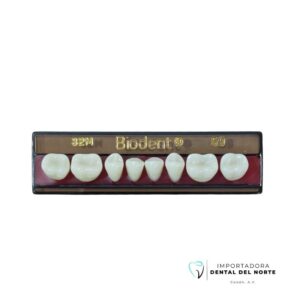 Molar Biodent 32M LO 59