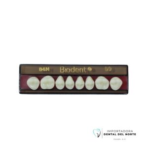 MOLAR BIODENT 34M UP 59