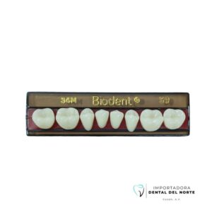 Molar Biodent 34M LO 59