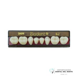 Molar Biodent 34M LO 62