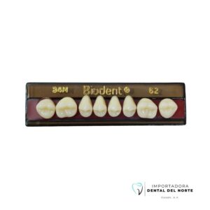 Molar Biodent 34M UP 62