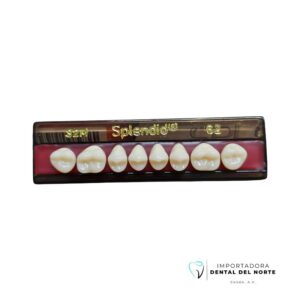 MOLAR SPLENDID 32M UP 62NS