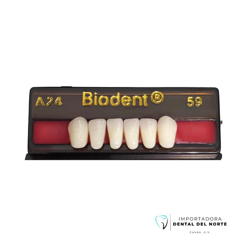 Diente Biodent A24 LO 59